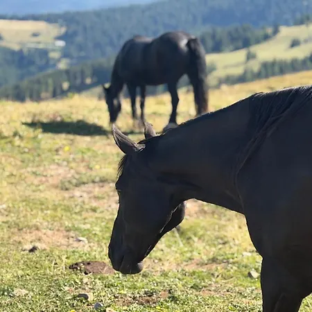 Domek alpejski Edelwild Almchalet - Koralpen Residenz Im Koralm Dorf I Xxl Luxus 144 Qm I Privat-spa I Garten I Gartenmoebel I Weber Grill I Bang & Olufsen Tv I Wmf Kuechengeraete I Kaminofen I Panoramasicht I 4 Parkplaetze *